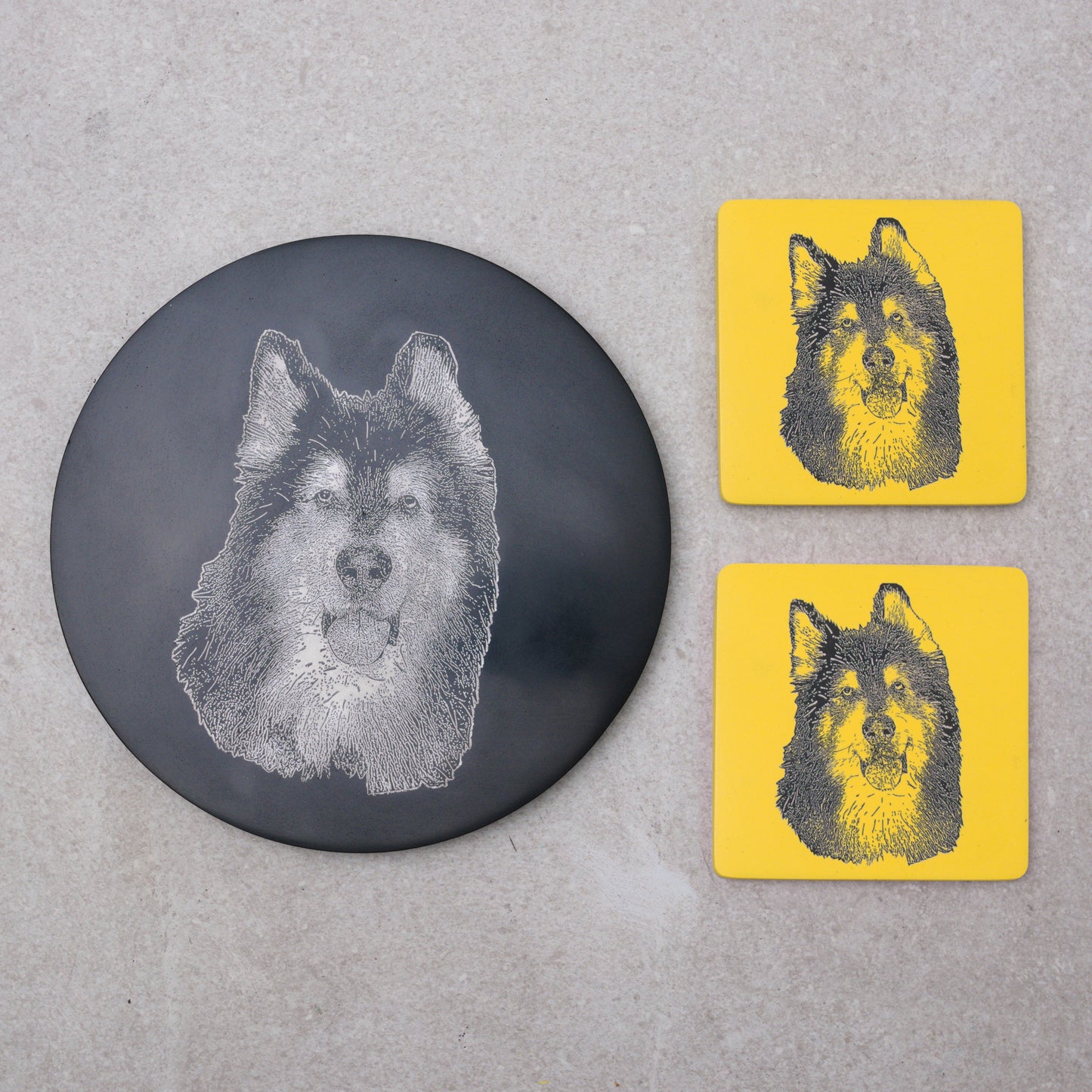 Custom Pet Portrait- Plate and Coaster Set
