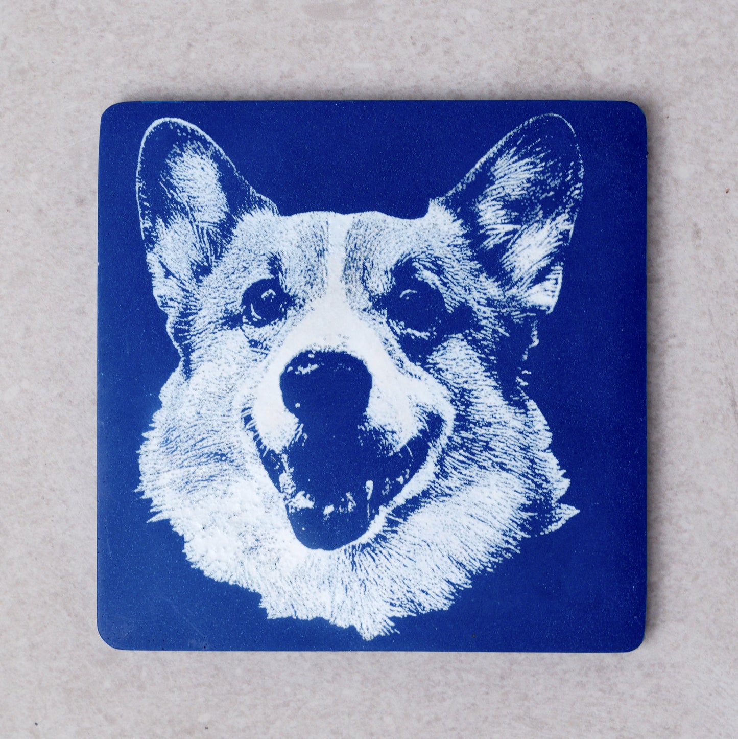 Custom Pet Portrait- Plate and Coaster Set