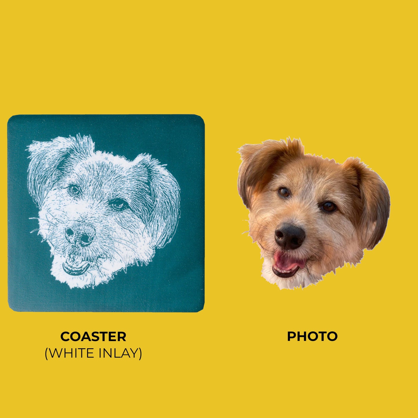 Custom Pet Portrait- Plate and Coaster Set