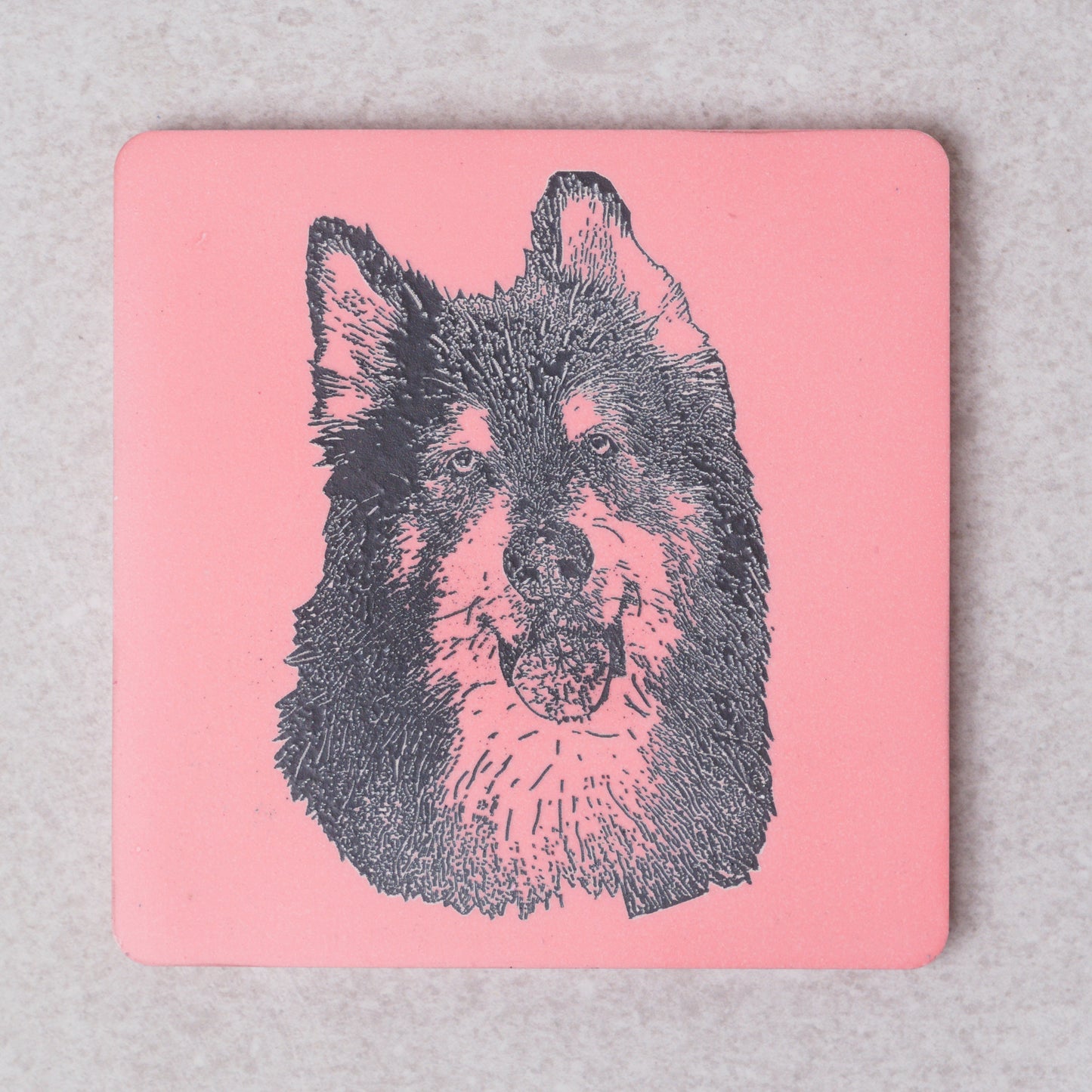 Custom Pet Portrait- Coaster (Set of 2)
