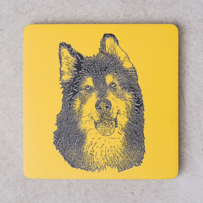 Custom Pet Portrait- Plate and Coaster Set