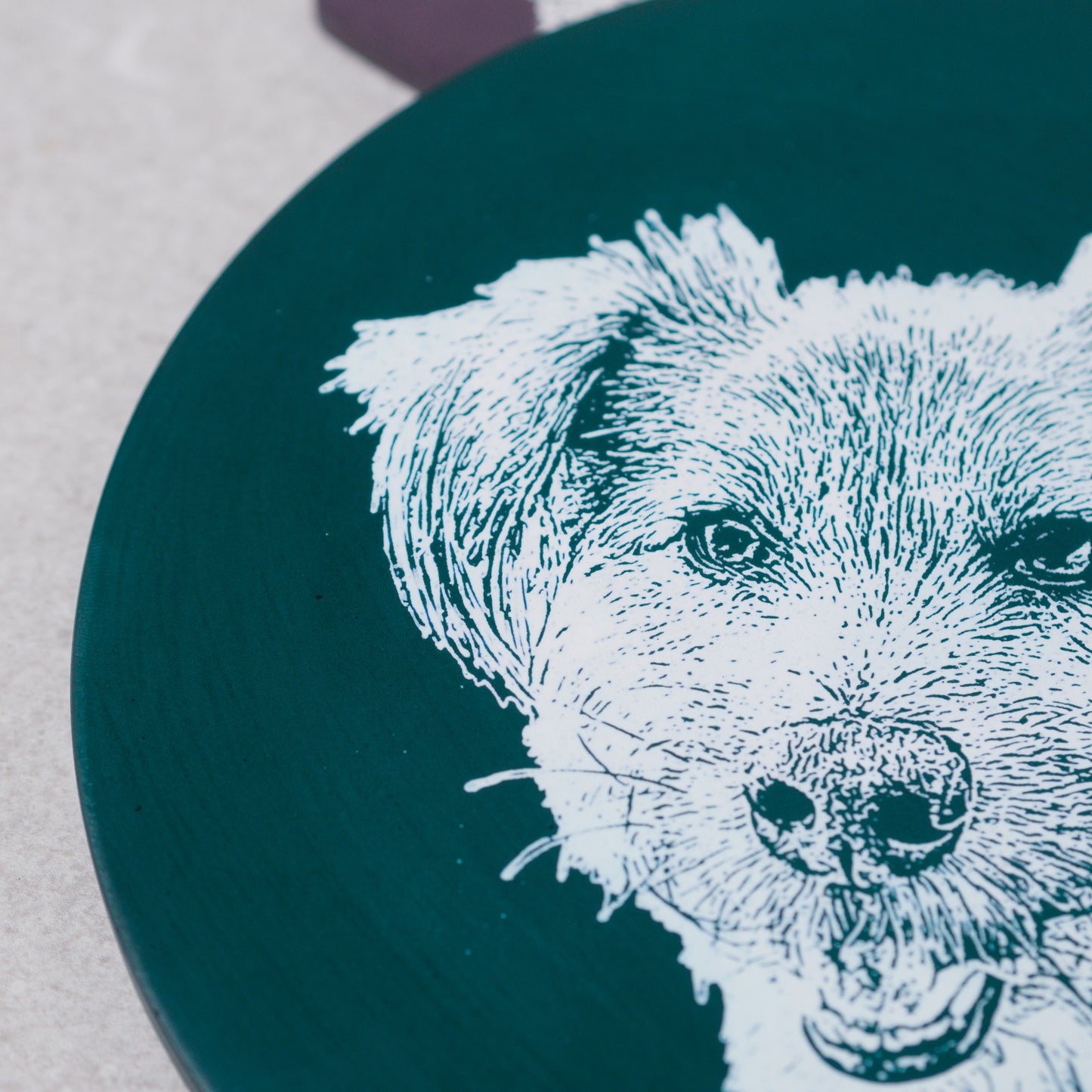 Custom Pet Portrait- Decorative Plate