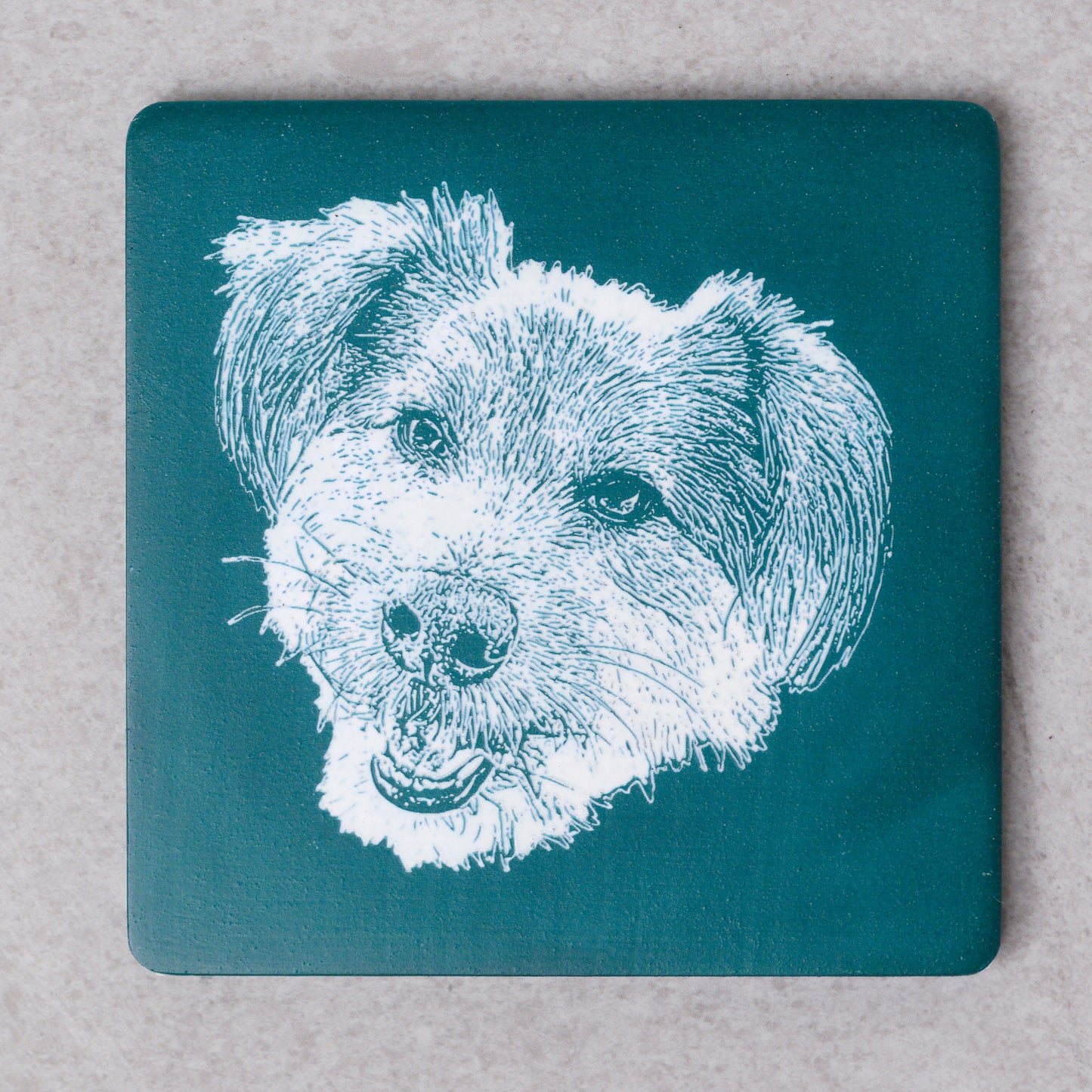 Custom Pet Portrait- Decorative Plate