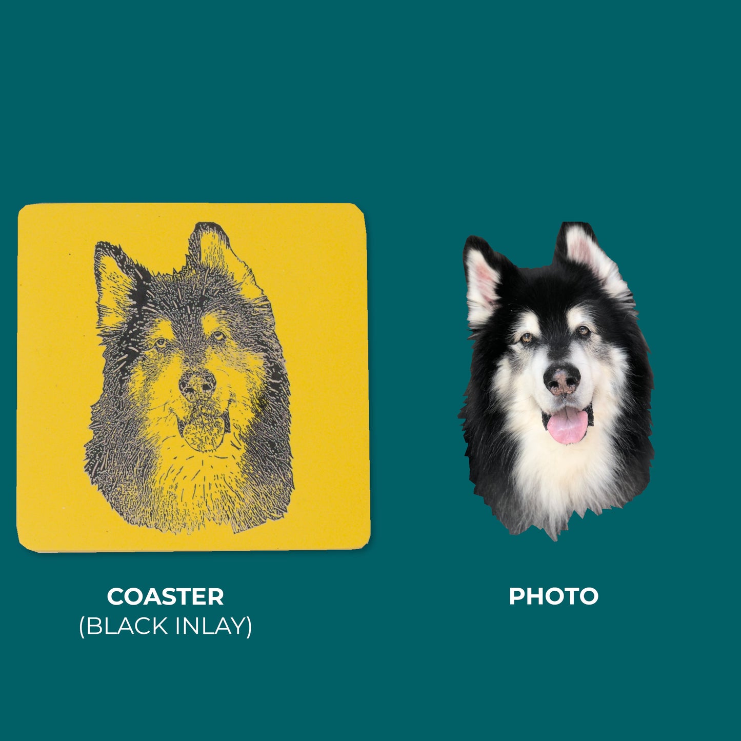 Custom Pet Portrait- Coaster (Set of 2)