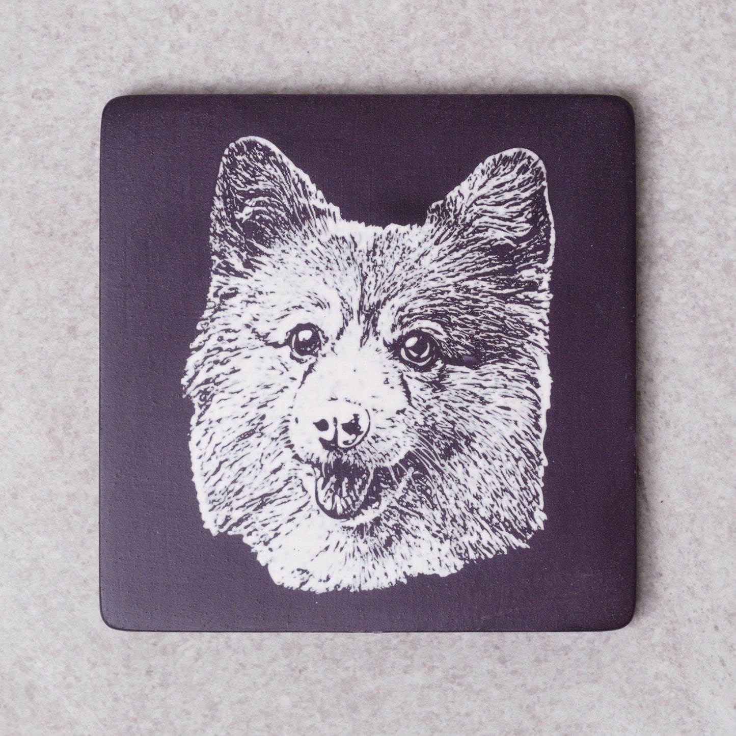 Custom Pet Portrait- Decorative Plate